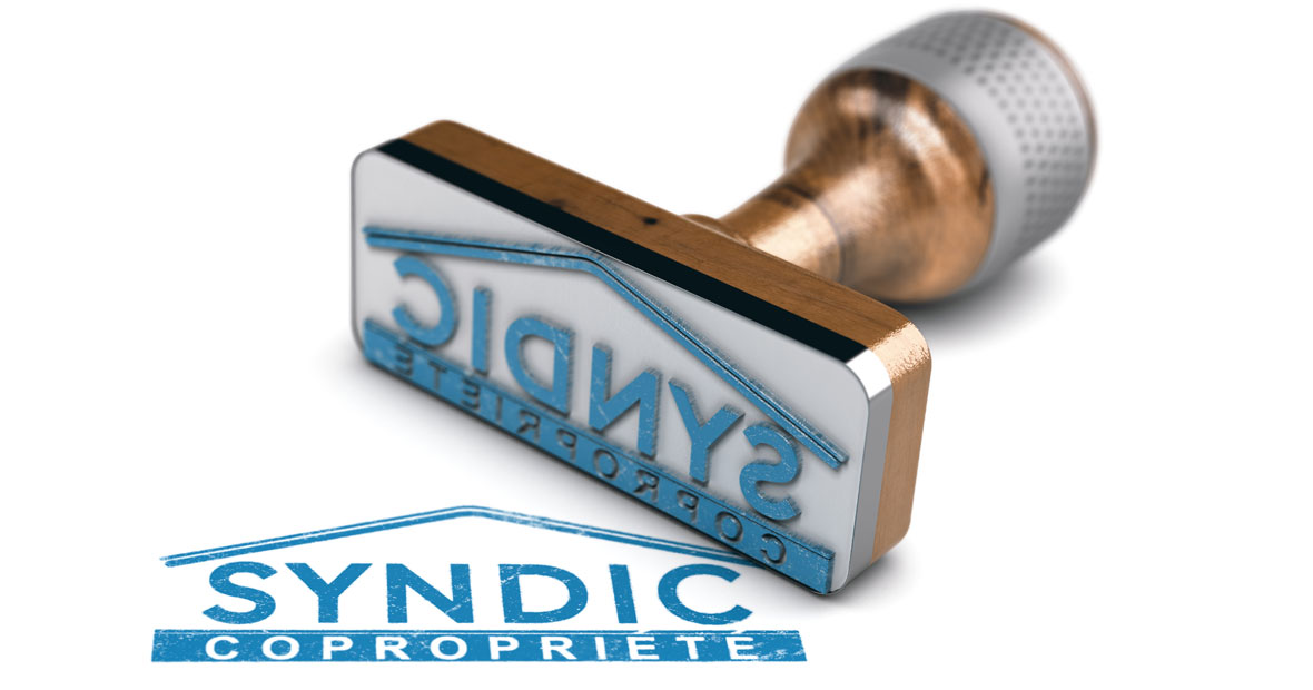 syndic